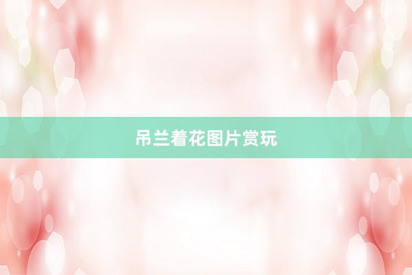 吊兰着花图片赏玩