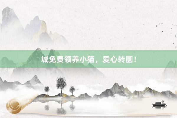 城免费领养小猫，爱心转圜！